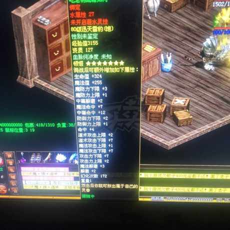 传奇世界-账号-[道士 天人54重]可以养活全家
