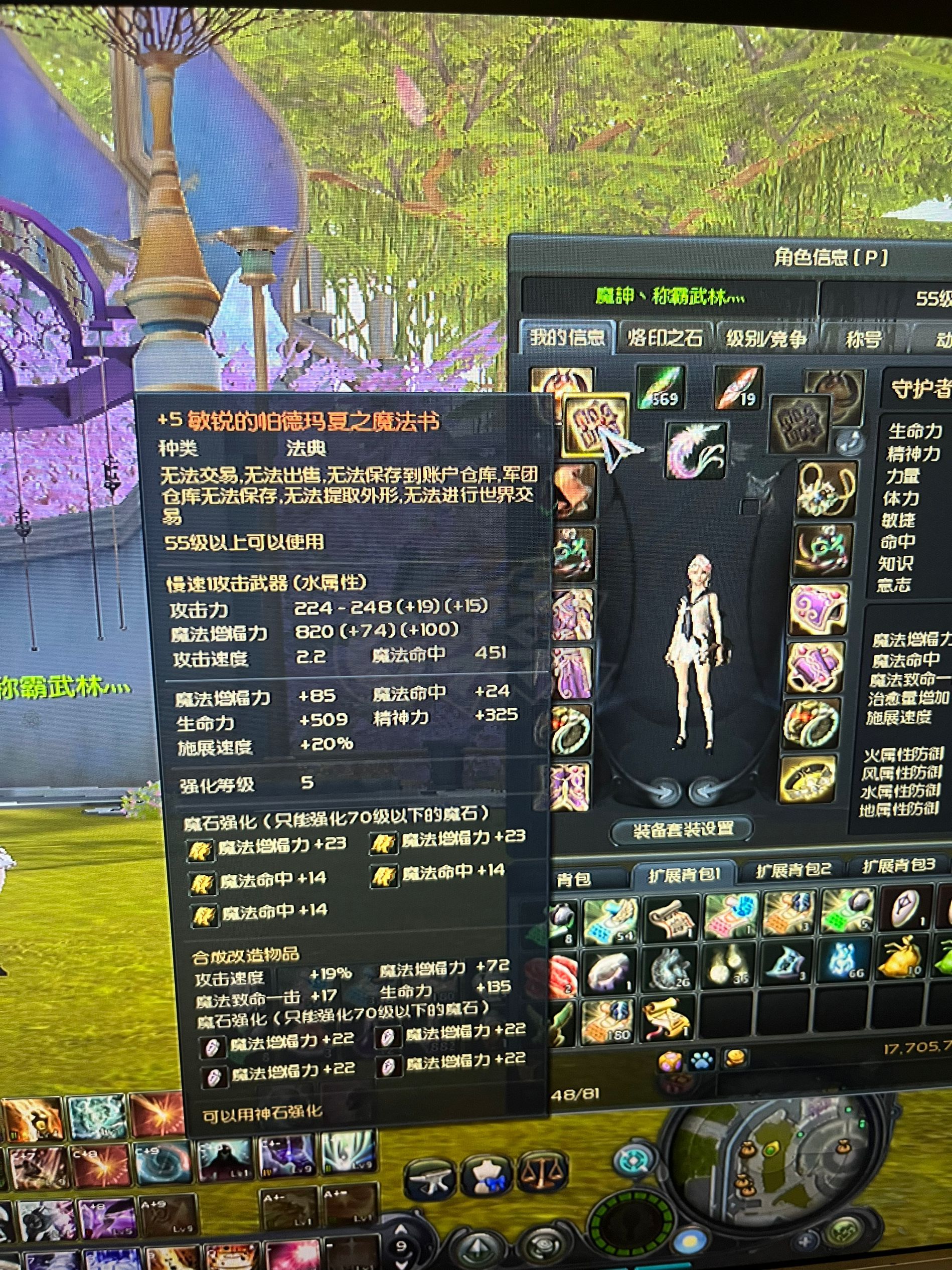 永恒之塔-账号-[护法星 55级]军团长5件套防具 敏帕杖子10 精万5件差