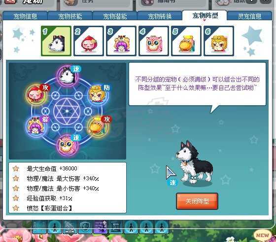 彩虹岛-账号-[风行刺客 300级]到手一万，带智力私信