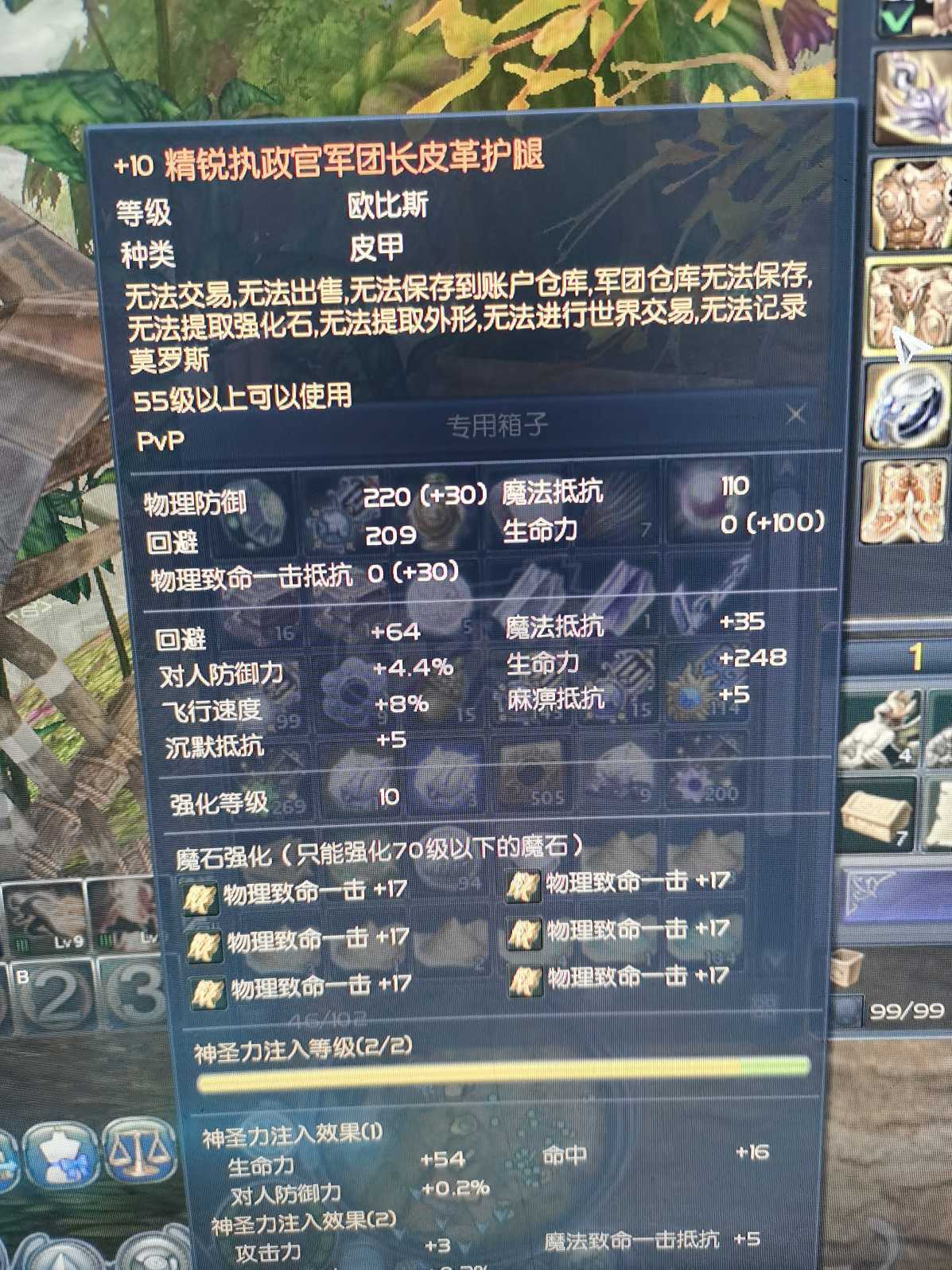 永恒之塔-账号-[执行者 58级]帕武10军闪光水龙团长一套10军团长首饰