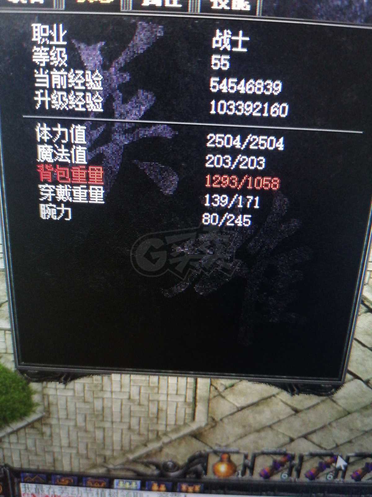 传奇外传-账号-[主体战士 59级]出售道战号，可以看图，有800银两，没金钢石