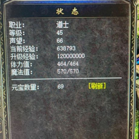 热血传奇1.76秒卡传承版-账号-[道士 45级] 半套天尊，挂机战士套齐备