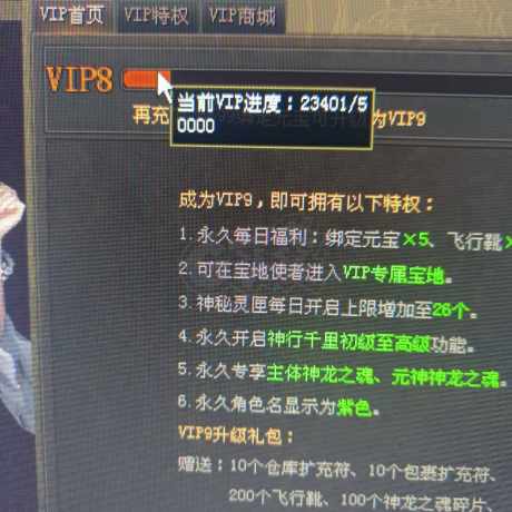 传奇世界-账号-[战士 64级]V8战道 元神祥龙