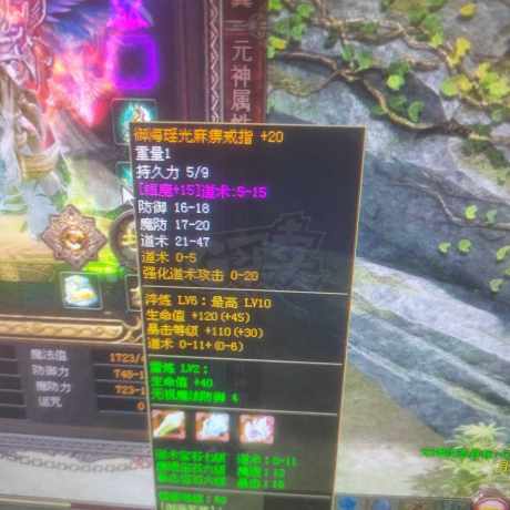 传奇世界-账号-[道士 天人46重]养老道战  **凤灵