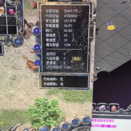 热血传奇怀旧版-账号-[道士 46级]46级挂机神气，挂到过裁决，有5个编号做任务能手