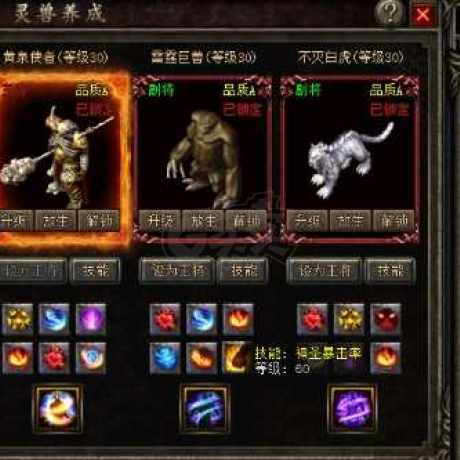 热血传奇-账号-[战士 999级]转生262和202命格满