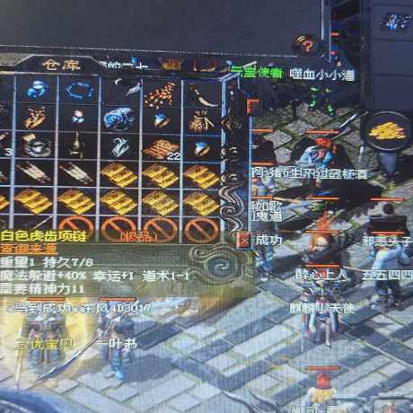 传奇新百区-盟重神兵-账号-[道士 44级]金币就有五千多万40虎齿幸运1一身极品装备