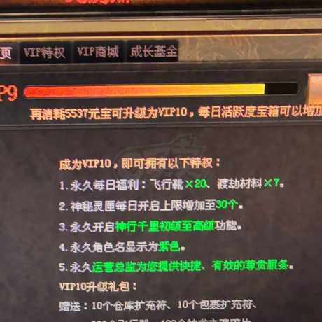 传奇世界-账号-[法师 天人8重]天八小法师 法法战