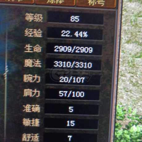 传奇3-账号-[魔法师 85级]领取封魔点
