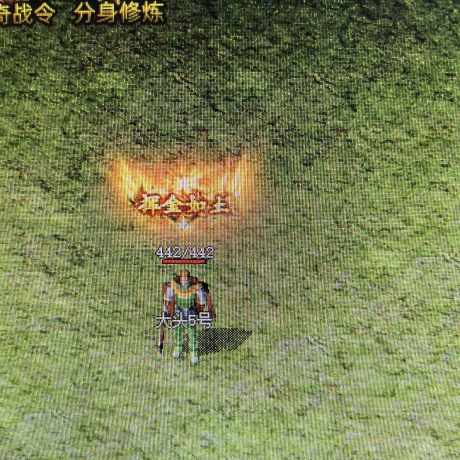 传奇新百区-盟重神兵-账号-[战士 31级]挥金如土带传奇币黑铁头