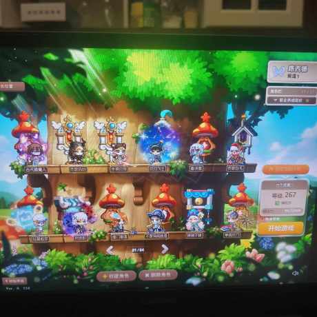 冒险岛-账号-[神射手 267级]自己五年的心血号！就卖个角色位钱！联盟7900了！拿来就能玩