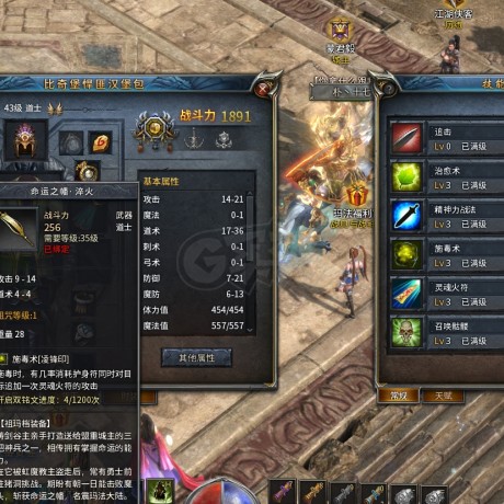 传奇永恒-账号-[玛法初征 男 道士 43级]真狗道