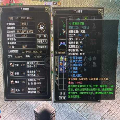风云怀旧服-账号-[猎手 炼气期*10阶]60级凌风国消费达标带装备