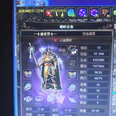 传奇3(时长版)-账号-[道士 54级]54级，图片是之前的了，没更新