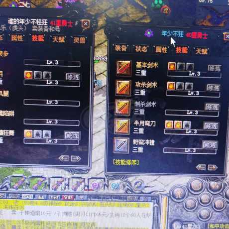 传奇外传-账号-[主体刺客 999级]3攻速3重生3技伤满