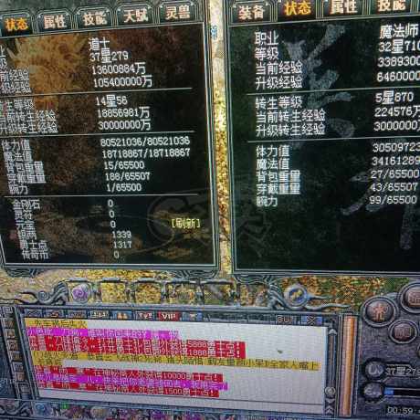 传奇外传-账号-[主体道士 303级]地下雪一号