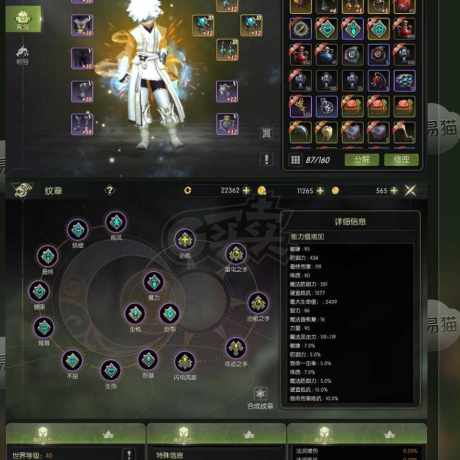 龙之谷世界-账号-[祭司 ]5.1万双特4a2w5点卷全