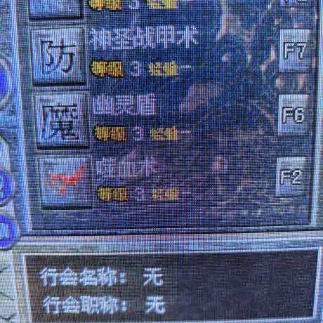 热血传奇怀旧版-账号-[道士 54级]双三孔 技能多 法神披风 带五个仓库号 时间多