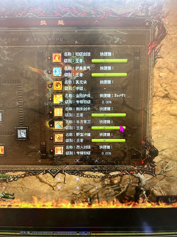 传奇世界-账号-[战士 上仙99重]玩不过来甩一个