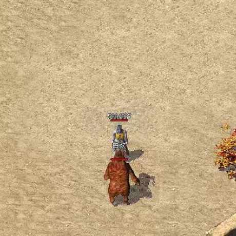 热血传奇1.76秒卡传承版-账号-[道士 49级]声望105