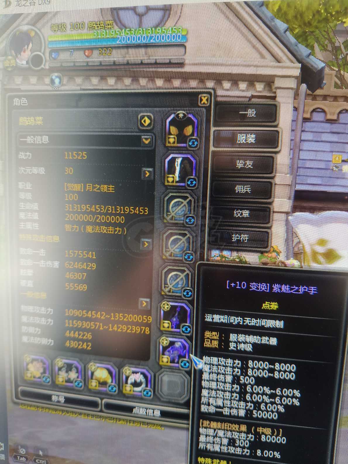 龙之谷-账号-[月之领主 99级]V8回归萌战*鹧鸪菜*请截图这个角色 绝版紫魅主副