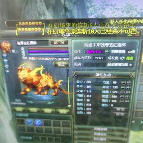 星辰变-账号-[清虚 89级]上班没时间玩了*高级家园六块地