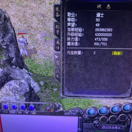 热血传奇1.76秒卡传承版-账号-[道士 50级]50级男道