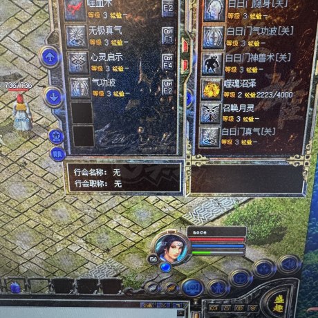 热血传奇怀旧版-账号-[道士 66级]道道 三孔 魔物志37级 96元宝 5阶传奇令 5仓库号
