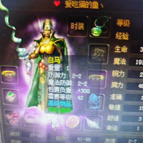 传奇3(时长版)-账号-[魔法师 58级] 58.8 封魔点过万