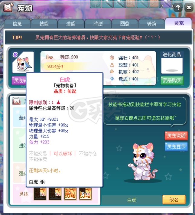 彩虹岛-账号-[逐暗者 300级]95S ，牺牲双9，教团，上位套，甜心4特效齐，混沌石化吸血百暴