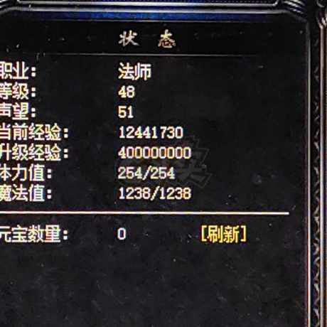 热血传奇1.76秒卡传承版-账号-[法师 48级]有声望