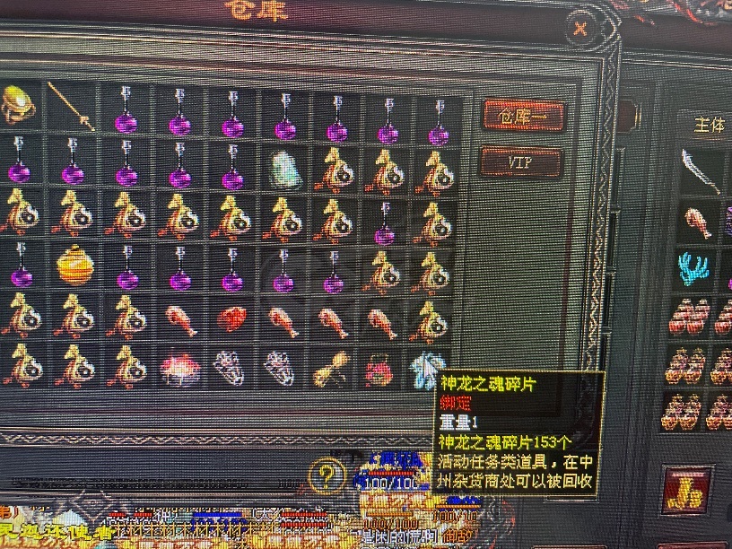 传奇世界-账号-[战士 56级]V5战道，盾牌龙背豹子都有，可遇不可求，幸运号