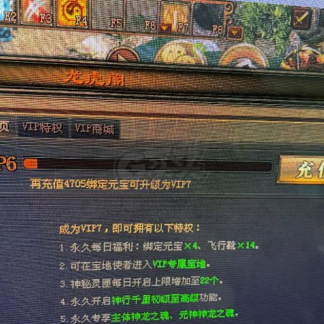 传奇世界-账号-[战士 56级]V5战道，盾牌龙背豹子都有，可遇不可求，幸运号