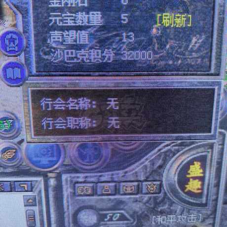 热血传奇怀旧版-账号-[道士 50级]双狗道道 带5个仓库号 魔物志35级