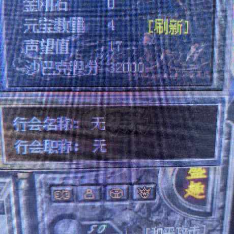 热血传奇怀旧版-账号-[道士 50级]双狗道道 带五个29级仓库 魔物志35级