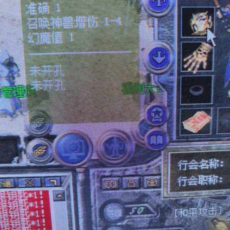 热血传奇怀旧版-账号-[道士 50级]双狗道道 带个29级仓库号 魔物志32级