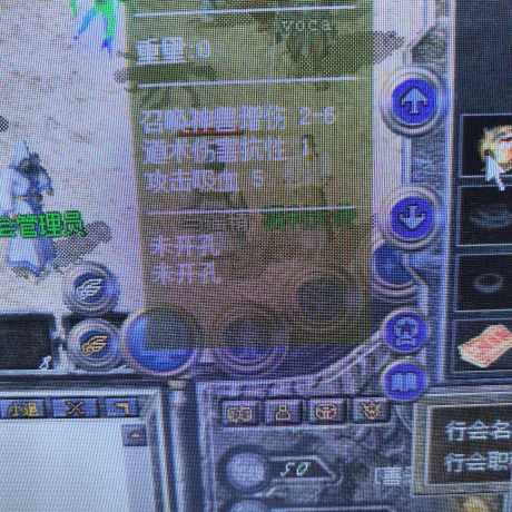 热血传奇怀旧版-账号-[道士 50级]双狗道道 带5个仓库号 魔物志34级