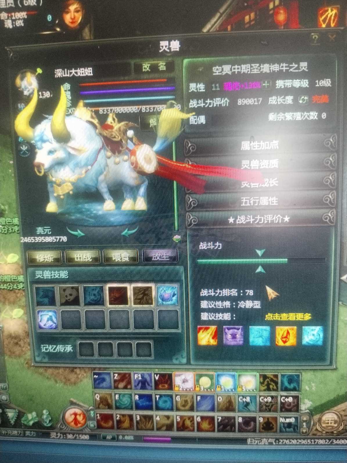 星辰变-账号-[蓝央 100级]挂着吧