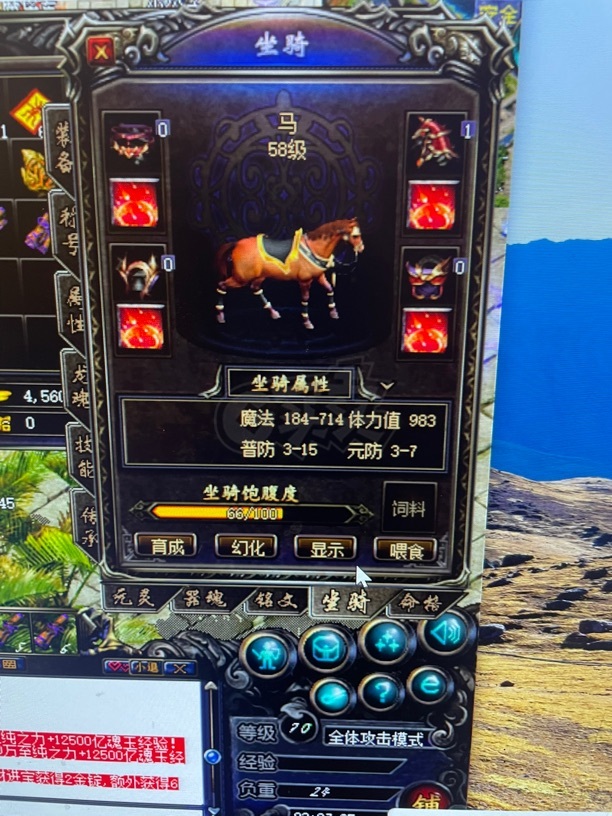 传奇归来-账号-[女 法师 999级]法师玉1074觉醒10介55满生肖*马60级图片上有的都有