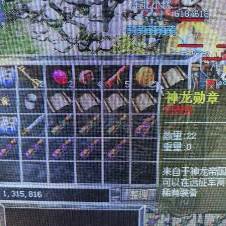 热血传奇怀旧版-账号-[道士 53级]月灵道道 带五个28级仓库 沙巴克积分三万八 魔物志31级