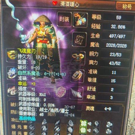 传奇3(时长版)-账号-[魔法师 59级]***找人接手，便宜出