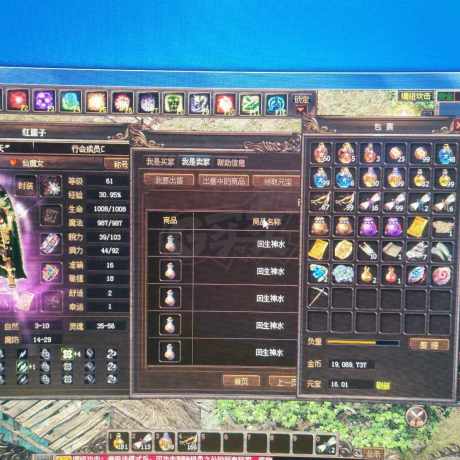 传奇3(时长版)-账号-[道士 61级]买了就赚到了