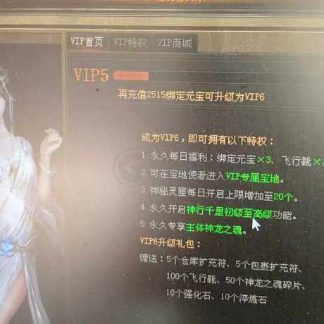 传奇世界-账号-[道士 55级]火咒道站