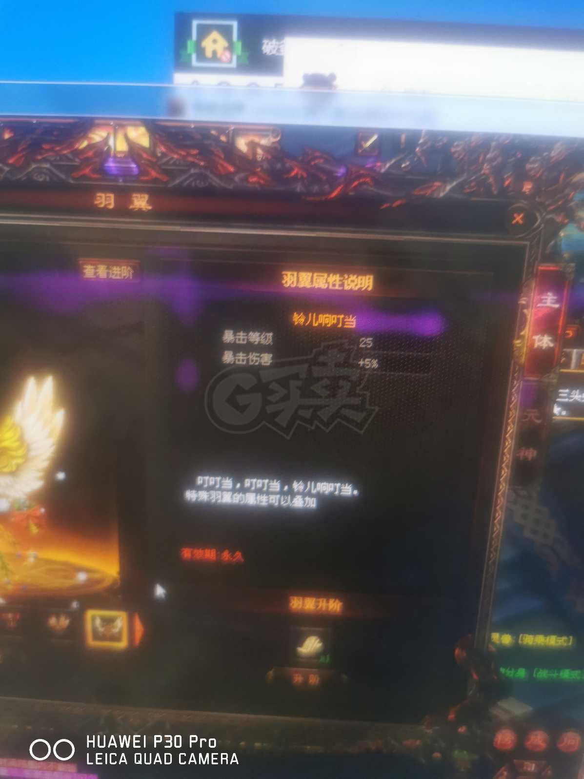 传奇世界-账号-[战士 天仙18重]V12大战士60*经验