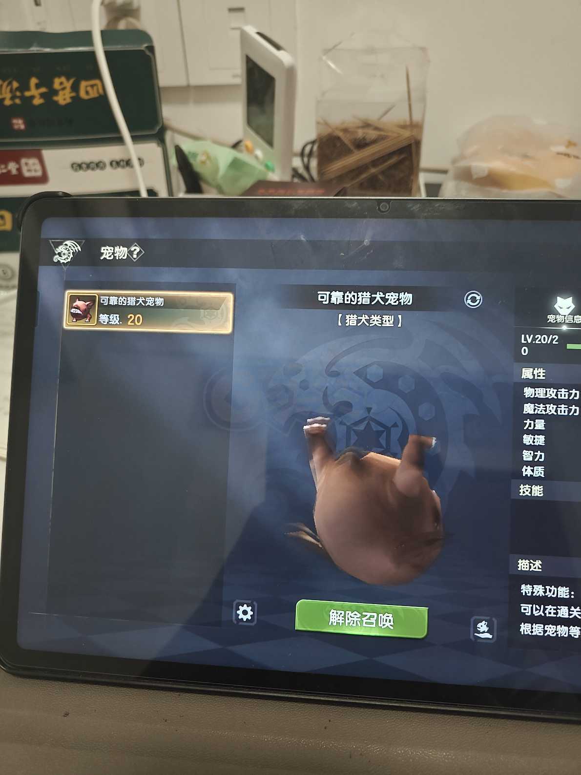 龙之谷世界-账号-[圣徒 ]4.2圣徒，7件套s时装，如图