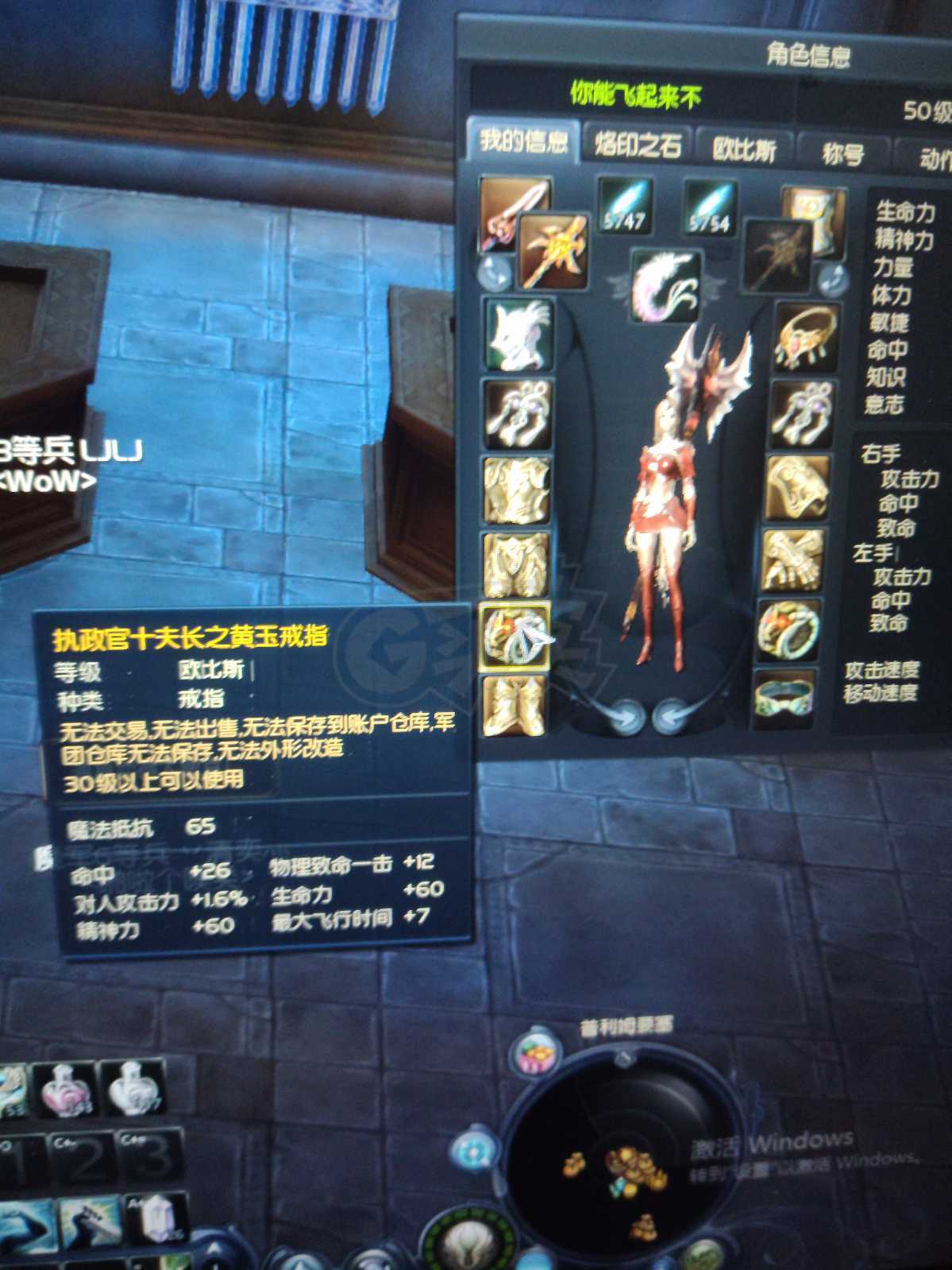 永恒之塔-账号-[剑星 50级]    小得巴外形    炼金400