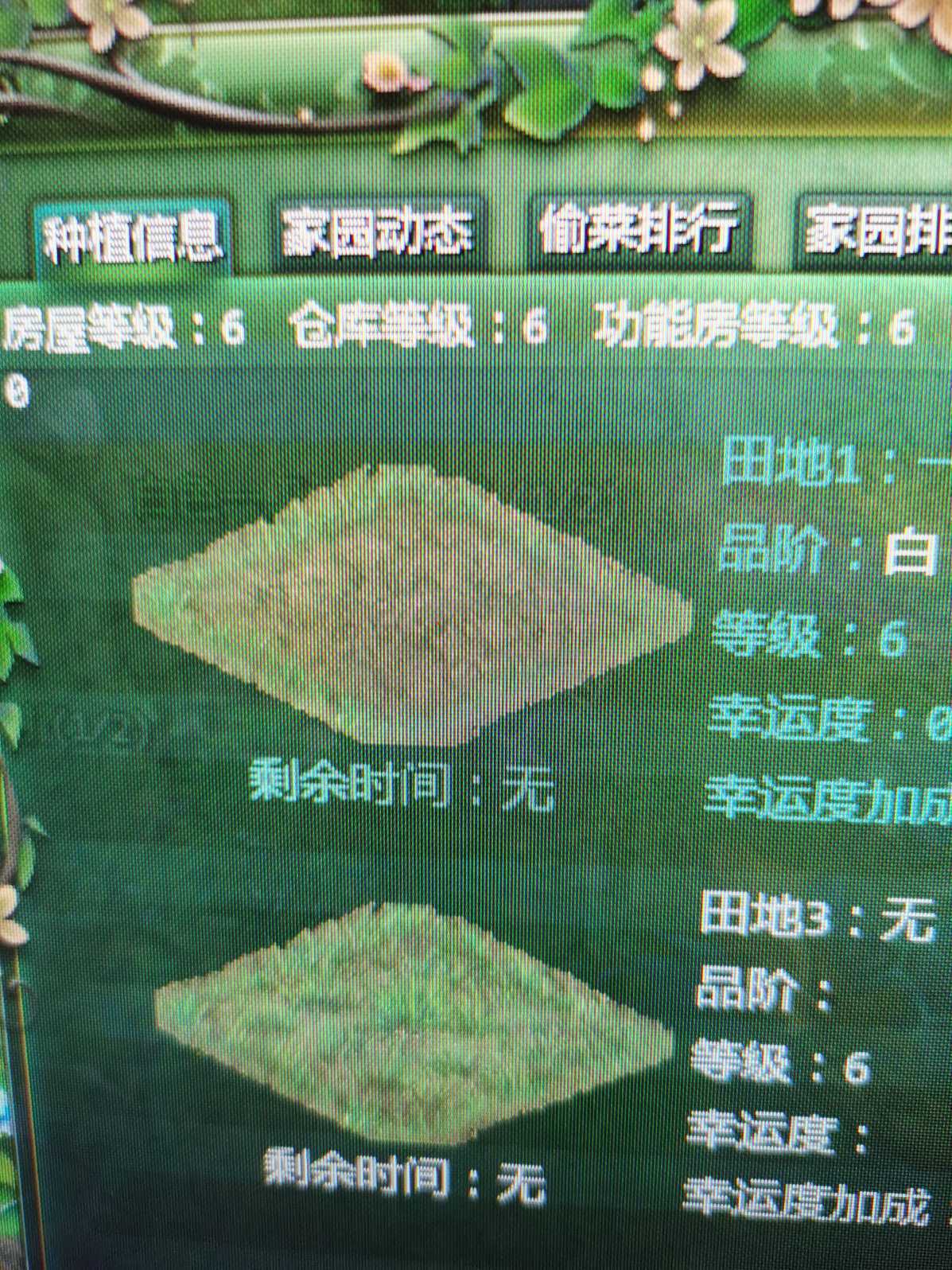 星辰变-账号-[赤阳 100级]536万