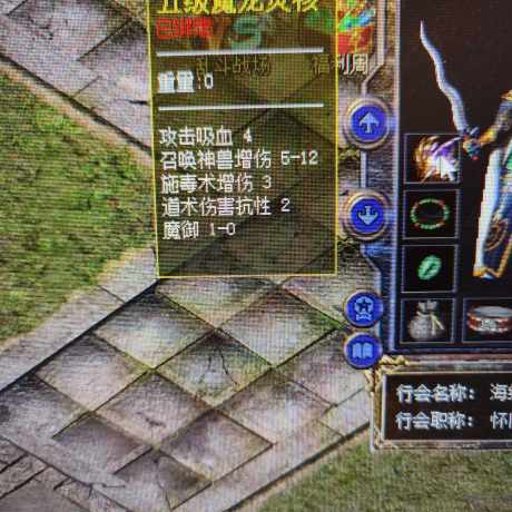 热血传奇怀旧版-账号-[道士 63级]积分42万神龙勋章330个天尊加一套看图