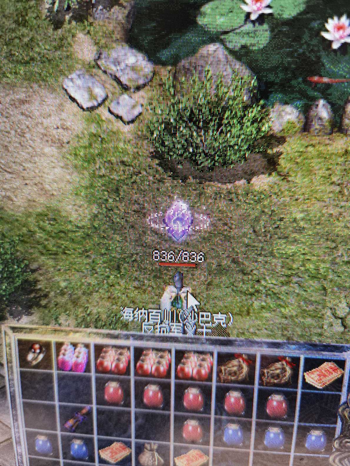 热血传奇怀旧版-账号-[道士 63级]积分42万神龙勋章330个天尊加一套看图