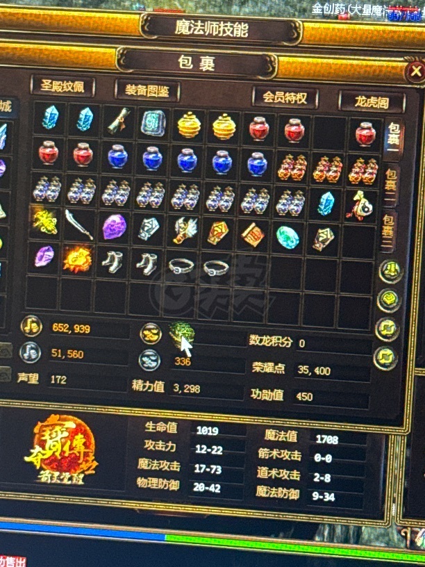 夺宝传世-账号-[法师 49级]3级会员，进度法师号，黄金镖车没停过，持续升级中